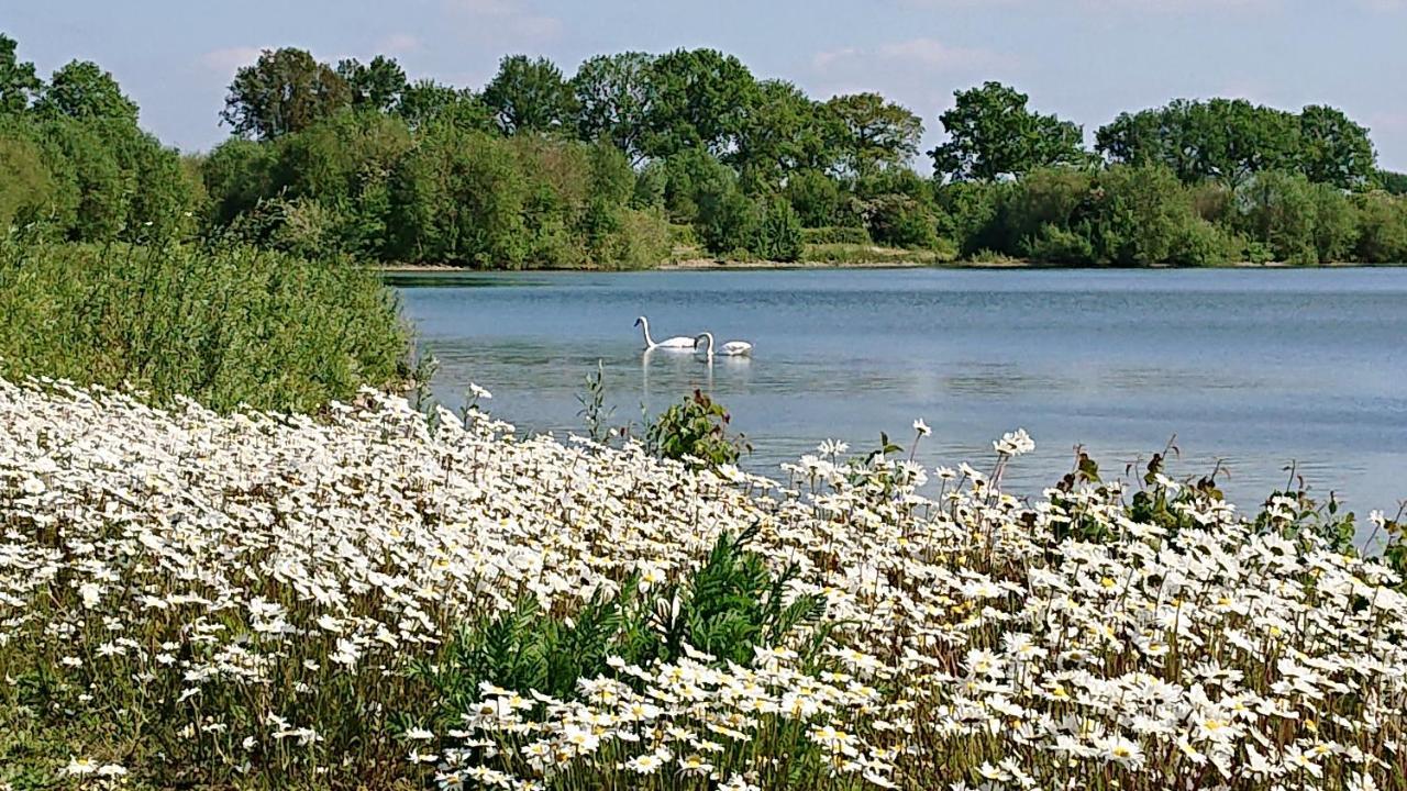 De Sprokkel Bed & Breakfast Milsbeek ภายนอก รูปภาพ